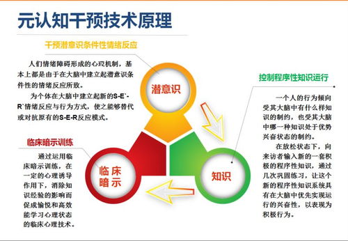 全国第二期家庭元认知心理教育技术落地培训即将在杭州举行