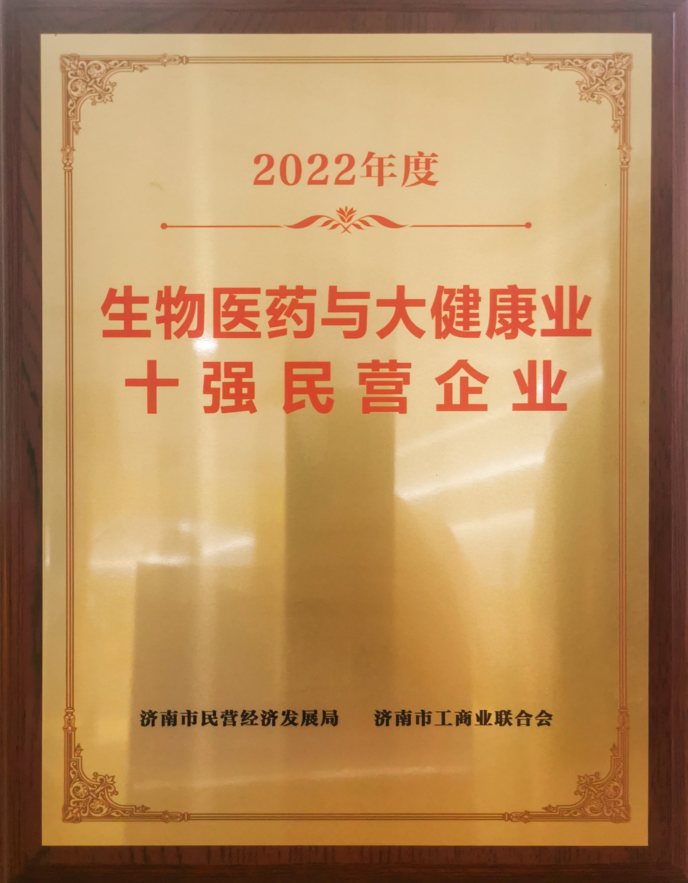 公司荣誉